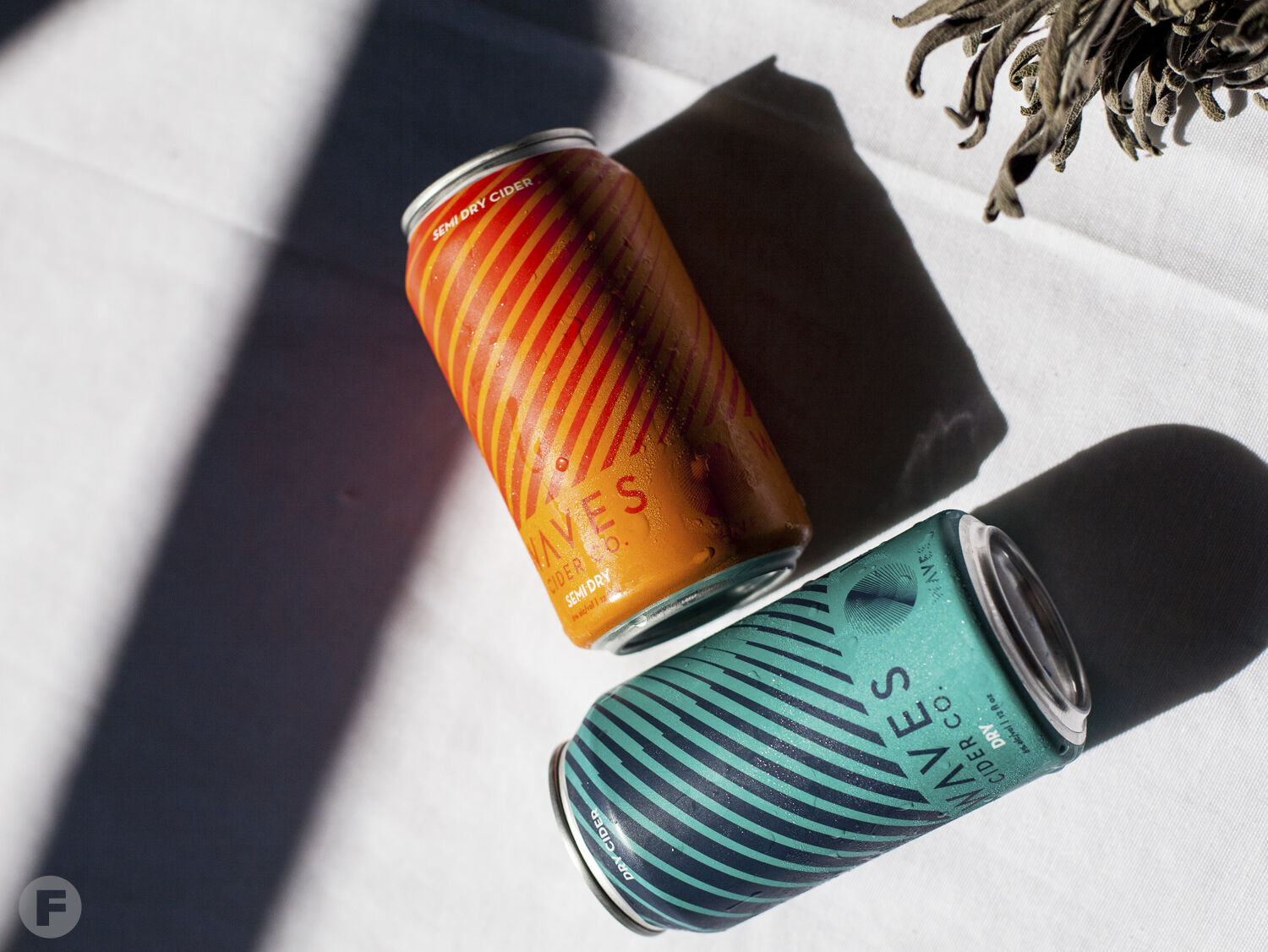 Logboat Brewing Co. and Waves Cider Co.